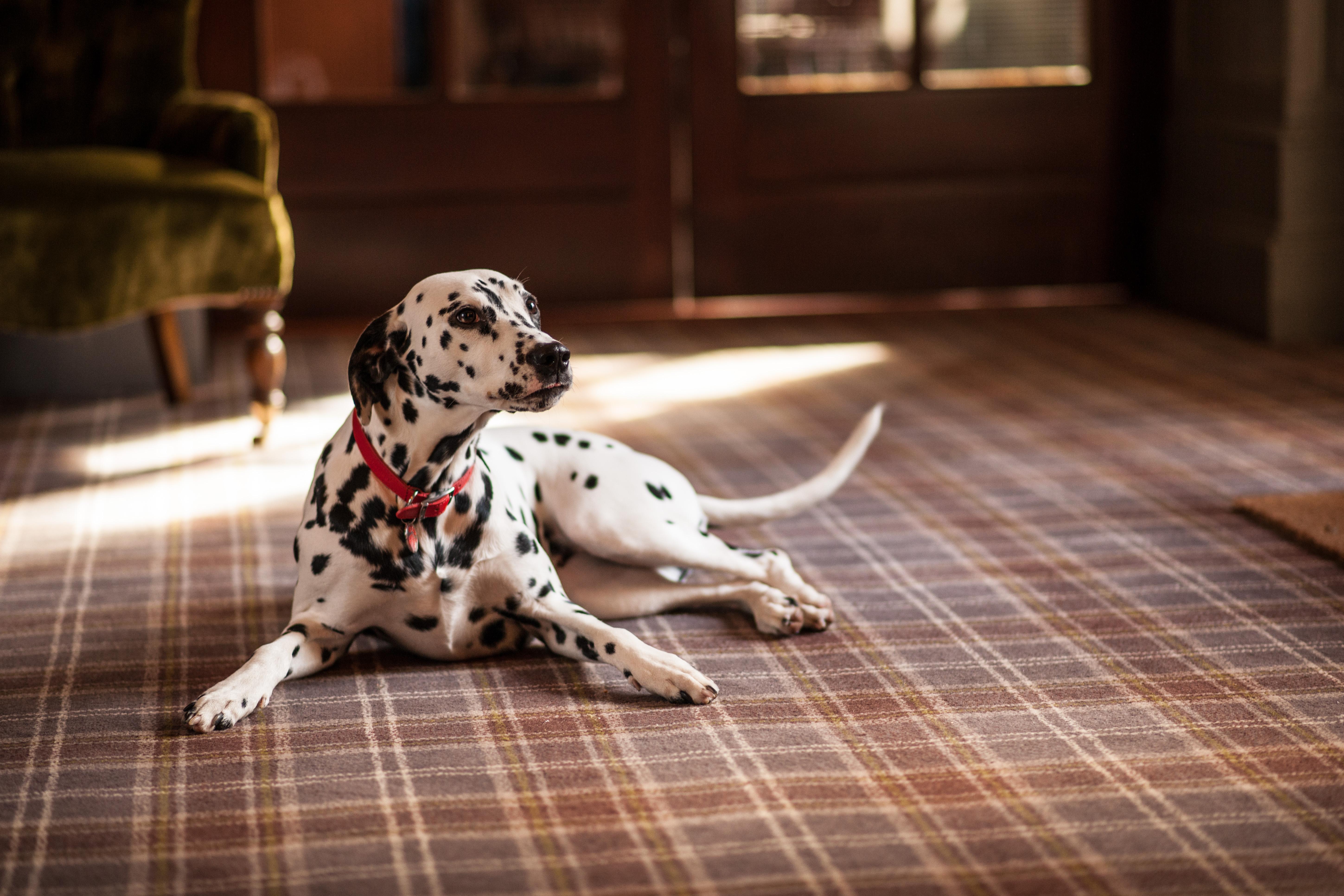 Balmoral Arms Hotel บัลลาเทอร์ ภายนอก รูปภาพ